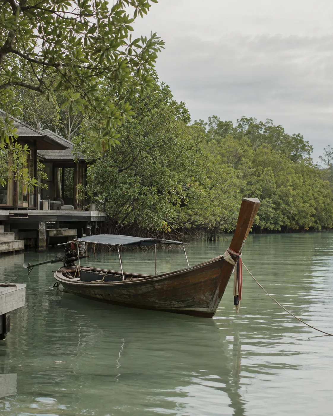 เรือหางยาวในป่าชายเลน